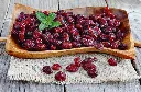 istockphoto-516255396-612x612.webp