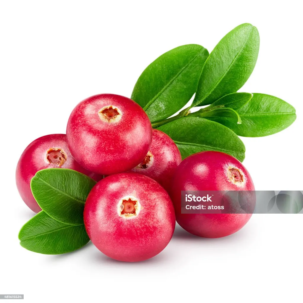 Cranberry